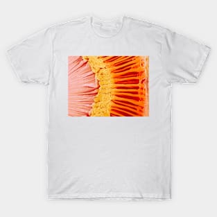 Eye anatomy, SEM (P424/0232) T-Shirt